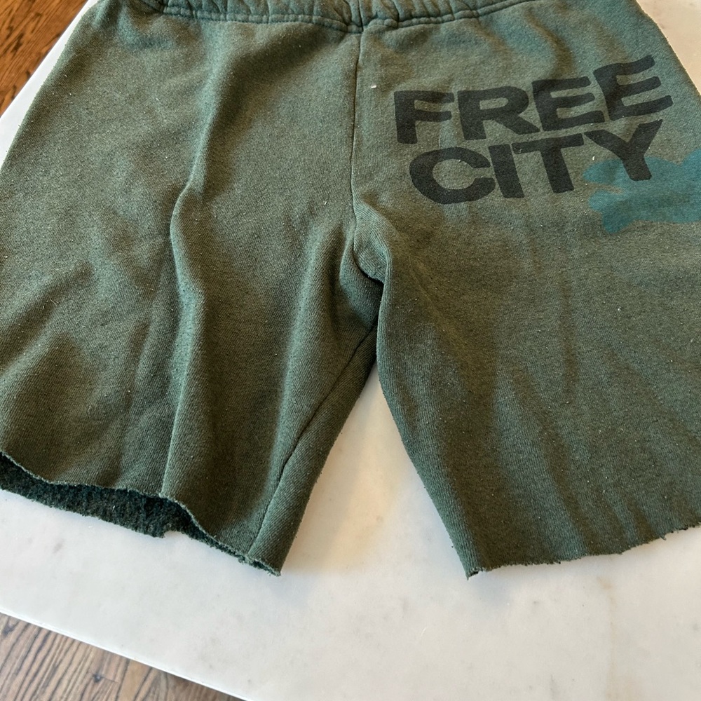 Free City shorts size large green